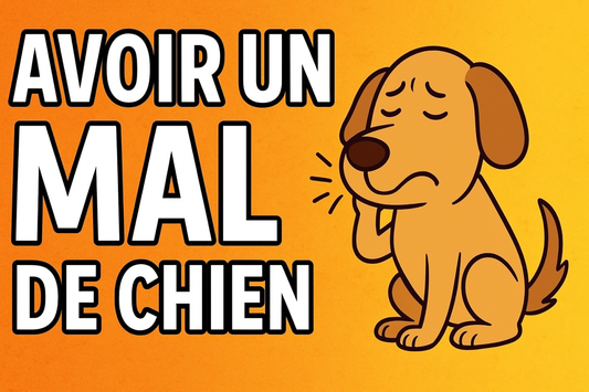 L'origine de l'expression française "Avoir un mal de chien"